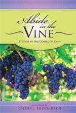 Abide in the Vine Workbook - Paperback